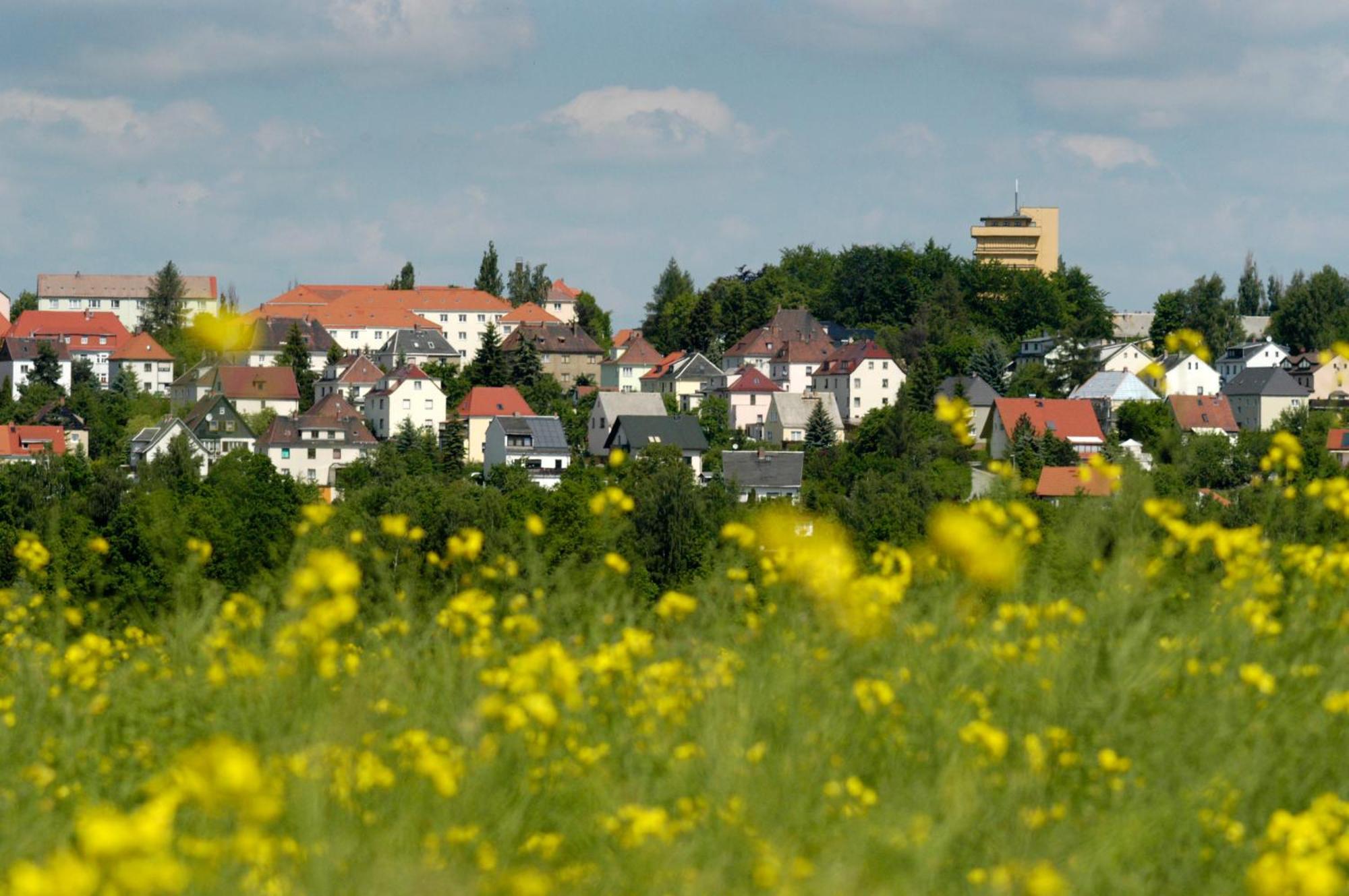 Hotel Am Park Reichenbach im Vogtland Dış mekan fotoğraf